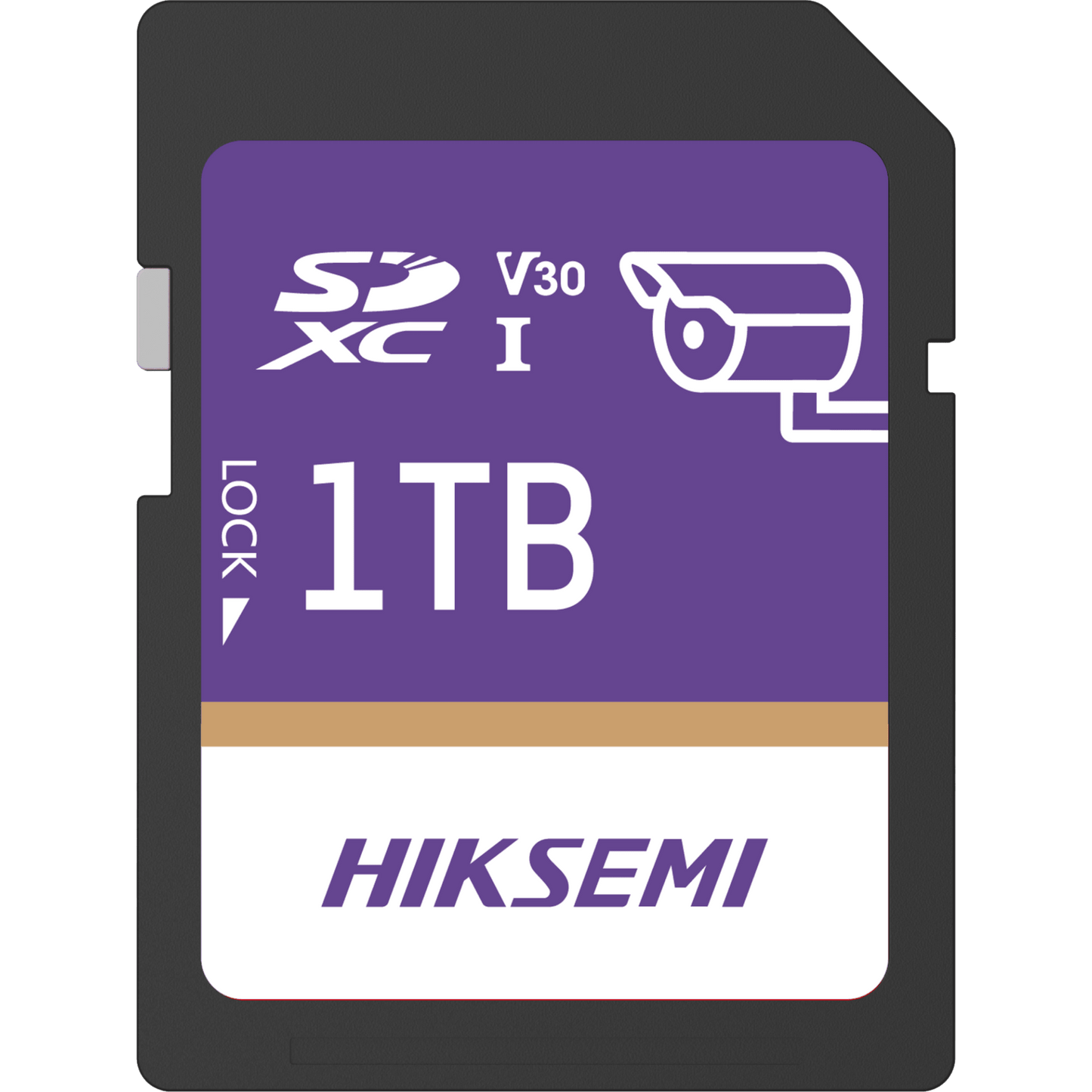 Tarjeta SD GuardPro P10 / 1 TB / 100 MB/s Lectura / 90 MB/s Escritura / Clase 10 U3 V30 / 3D TLC NAND / Especializada Para Videovigilancia 24/7