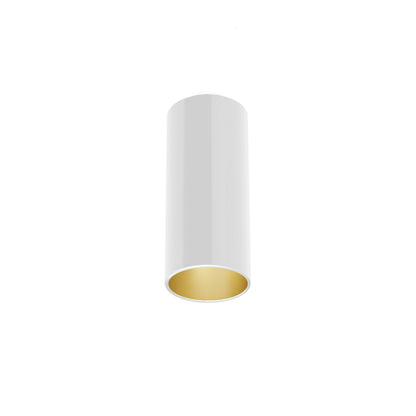 FLOS Architectural Kap Surface Ø100 — Techo/Pared LED 9W 29° 3000K (Blanco/Oro)