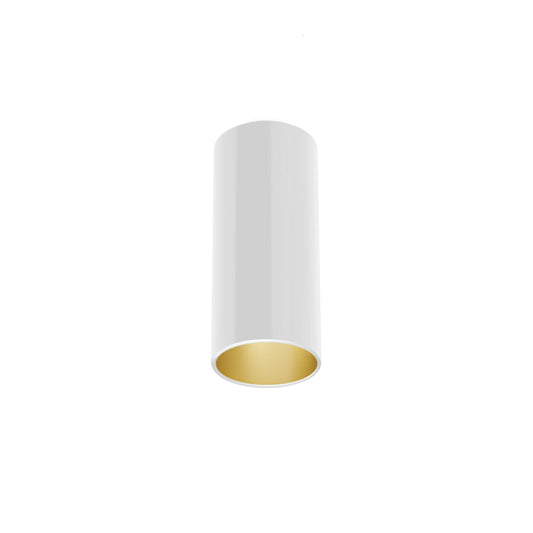 FLOS Architectural Kap Surface Ø100 — Techo/Pared LED 9W 29° 3000K (Blanco/Oro)