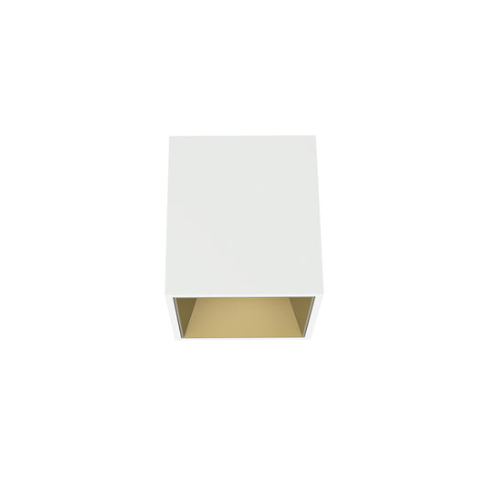 FLOS Architectural Kap 80 Surface Flood — LED 9.2W 53° 2700K (Blanco/Oro)