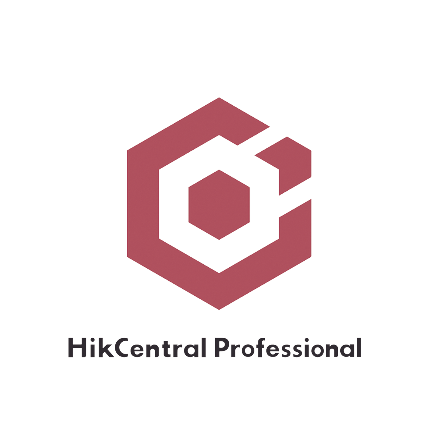 Hik-Central Professional / Licencia para Servicio de Actualización Remota por Cámara 3 años (SUP - 1 Camera / 3 Years Upgrade)