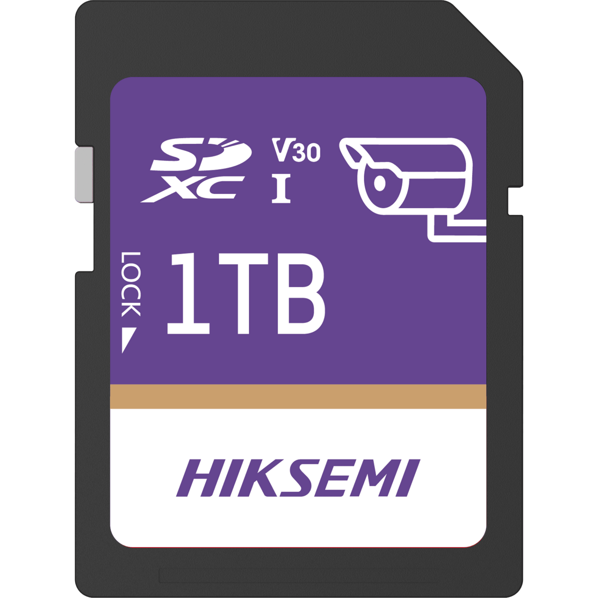 Tarjeta SD GuardPro P10 / 1 TB / 100 MB/s Lectura / 90 MB/s Escritura / Clase 10 U3 V30 / 3D TLC NAND / Especializada Para Videovigilancia 24/7